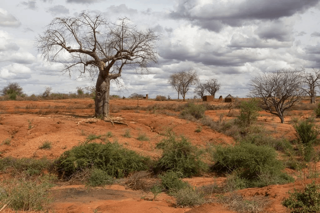 Land Degradation Monitoring